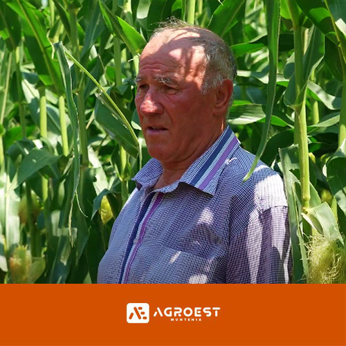Agroest Muntenia, partenerul nelipsit în ferma de familie a lui Petre Mihăiță
