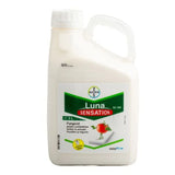 LUNA SENSATION SC500