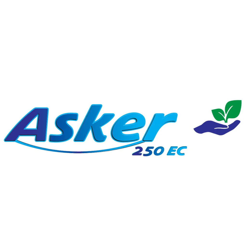 ASKER