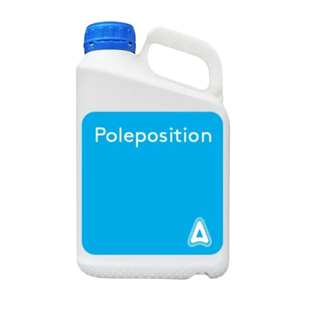 POLEPOSITION