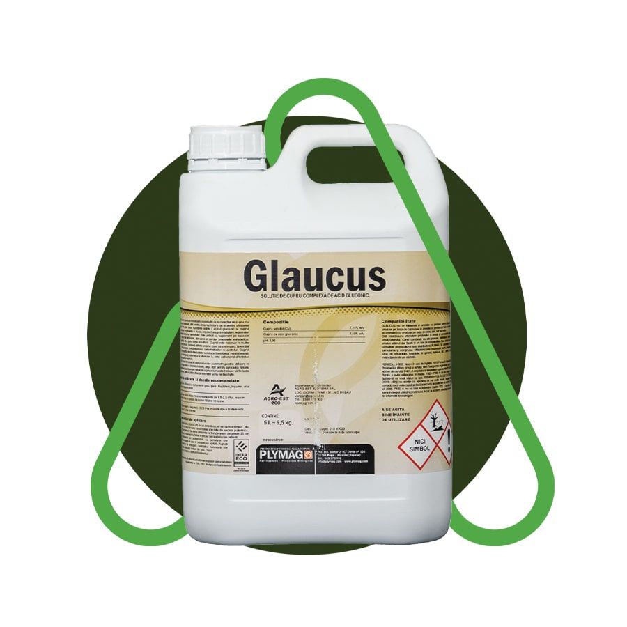Glaucus