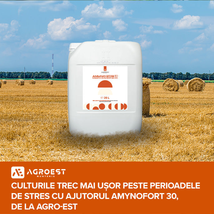 Culturile trec mai ușor peste perioadele de stres cu ajutorul Amynofort 30, de la Agro-Est