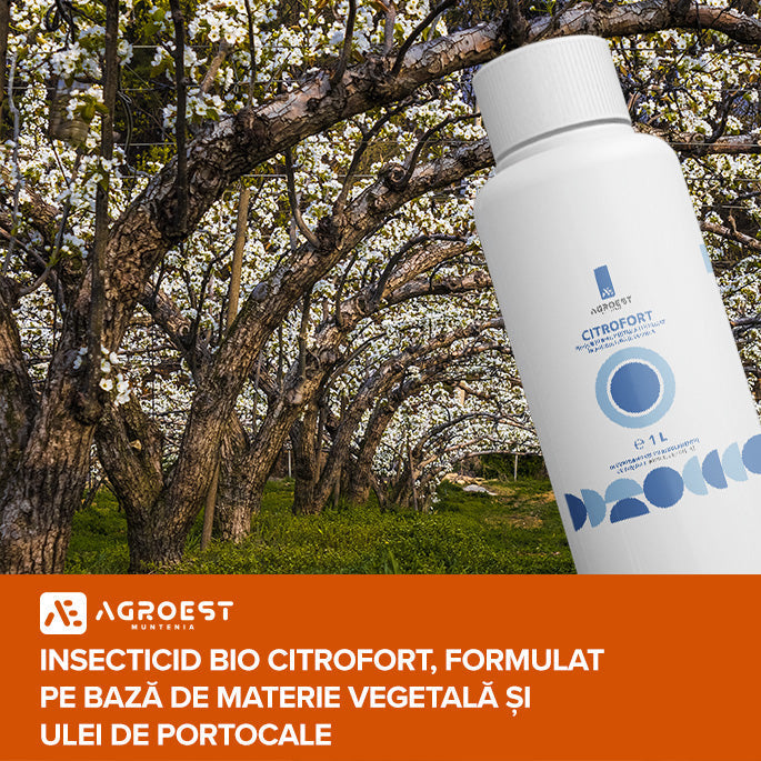 Insecticid bio Citrofort, formulat pe bază de materie vegetală și ulei de portocale