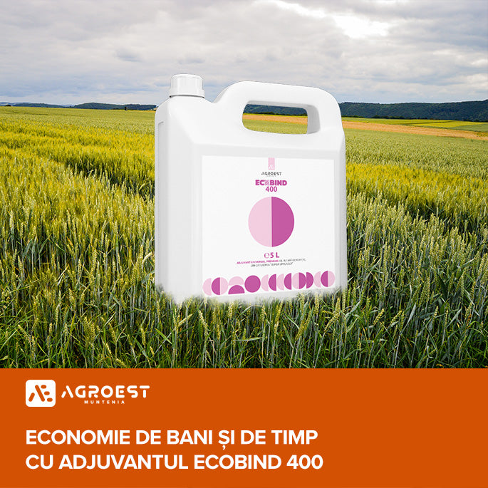 Economie de bani și de timp cu adjuvantul Ecobind 400 de la Agro-Est Muntenia