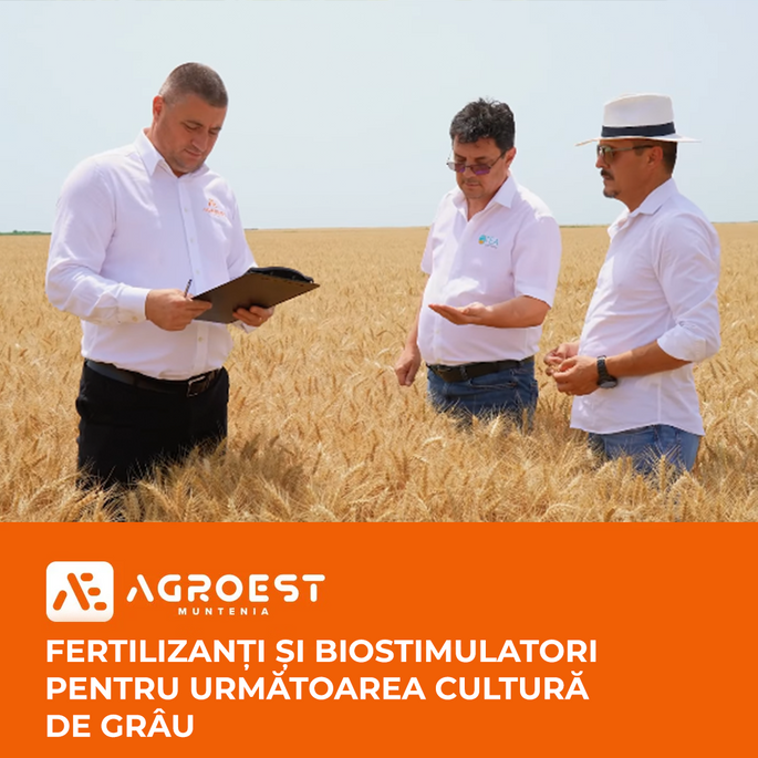 Fertilizanți și biostimulatori pentru următoarea cultură de grâu. Recomandări de la Agro-Est Muntenia