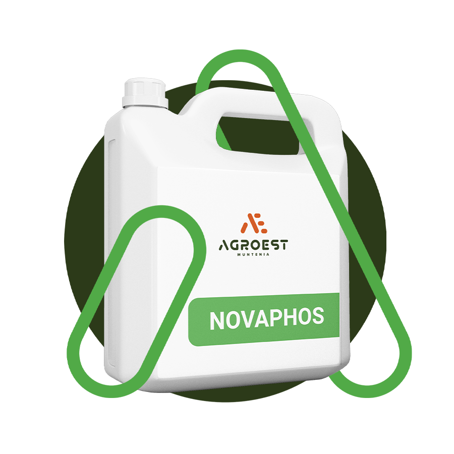 Novaphos