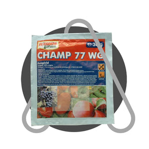 Champ 77 WG