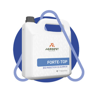 Forte-Top